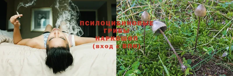 Галлюциногенные грибы Magic Shrooms  Верхний Тагил 